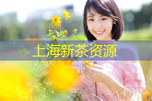 夜上海舞台演出背景视频