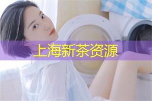 上海新茶工作室：展现个性品味，上海新茶工作室引领你进入时尚茶叶世界的新境界！