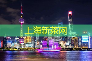 简报