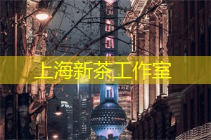 上海爱旭新能源2024行动方案解读：如何在激烈竞争中实现收益与创新双优？