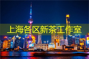 探求无穷可能：上海的冒险旅行