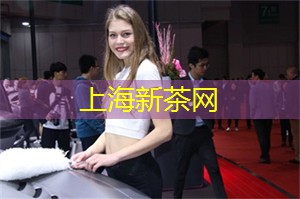 上海娱乐网：探索上海的隐秘小酒馆